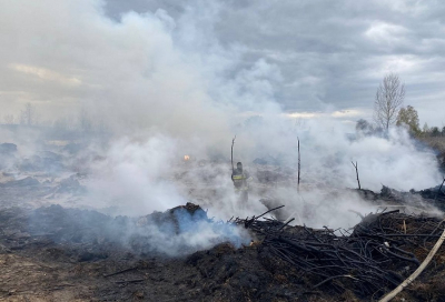 Вогнеборці Київщини ліквідували 30 пожеж в екосистемах за минулу добу (ФОТО)